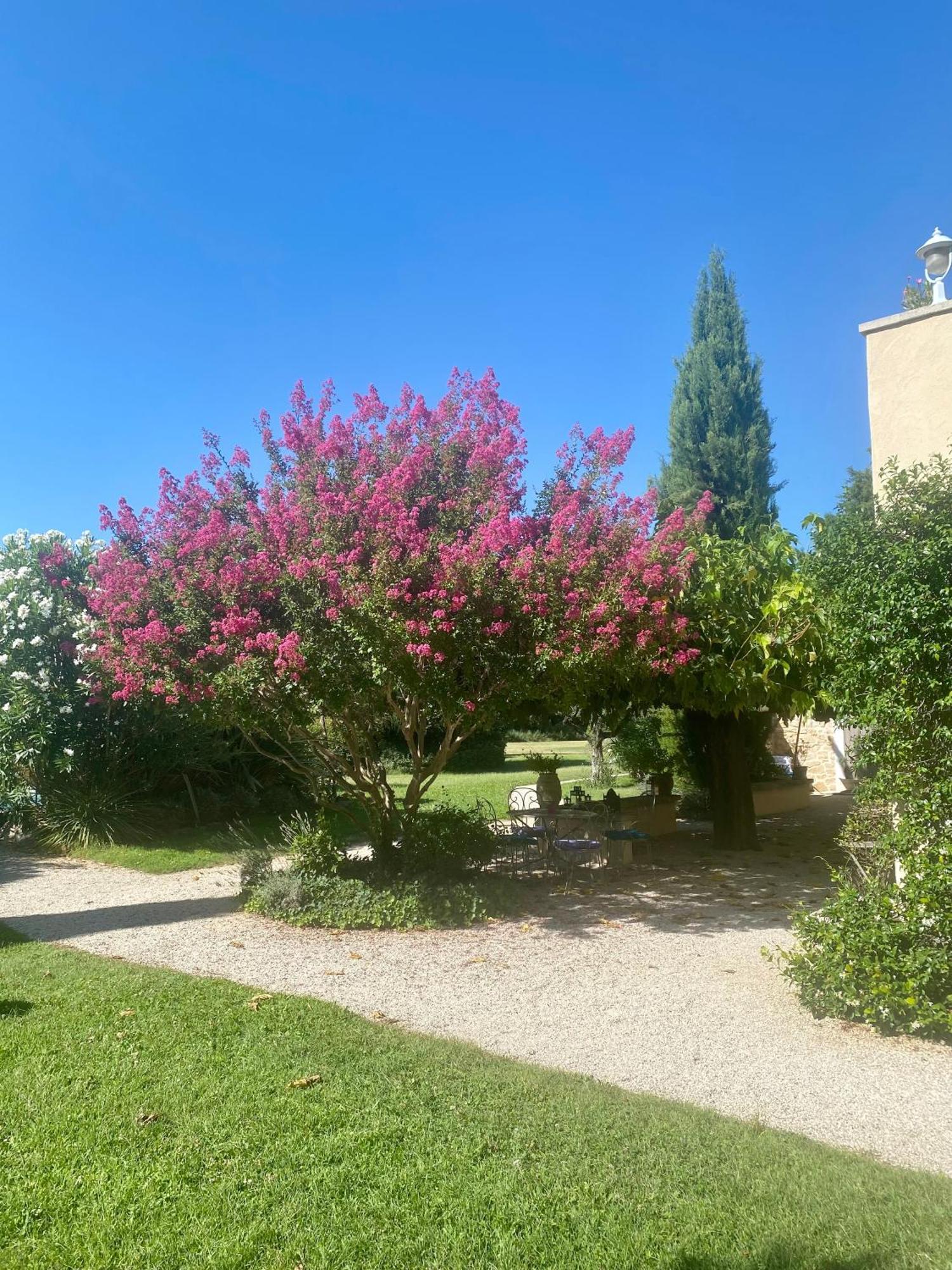 蒙特Mas Les Fleurs D'Hilaire住宿加早餐旅馆 外观 照片